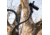 Tactacam Bendy Clamp Mount, Black, Handheld, M-BC1