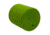 Tactacam Fish-i External Back Cap, Black, FI-EX-CAP