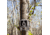 Tactacam Reveal Cellular Trail Camera, AT&amp;T, TA-TC-RATT