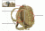 TAG 3-Day Pack with PALS Webbing