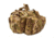 Tactical Tailor Range/Multi-Purpose Bag, MultiCam, Medium, 40025-5