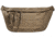 Tasmanian Tiger Modular Hip Bag II, Coyote, TT-7199-346