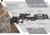 TenPoint Crossbow Technologies Stealth NXT Crossbow Package w/Rangemaster Pro Scope, ACUdraw PRO, True Timber Viper, Medium, CB18019-3813, EDEMO1