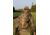 Tenzing 1200 Day Pack