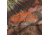 Terrain Canyon Backpack/Rucksack, Realtree EDGE Camo, 1596 Cubic ines, 19235