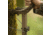 Tethrd Workhorse Climbing Sticks 4pk