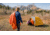 TETON Sports ALTOS-S 20 F Mummy Sleeping Bag, Burnt Orange, 1168