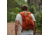 TETON Sports Oasis 18L Hydration Pack with 2L Bladder, Burnt Orange, 2101SCBO