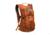 TETON Sports Oasis 18L Hydration Pack with 2L Bladder, Burnt Orange, 2101SCBO