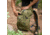 TETON Sports Oasis 22L Hydration Pack with 3L Bladder, Olive, 2102SCOL