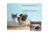 Tickless Tickless Ultrasonic Repeller