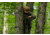 Timber Ninja Kunai Platform