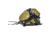 Timber Ninja Ultimate Saddle Starter Kit, Regular, 1103166