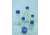 Triforest Erlenmeyer Flasks, Polycarbonate, Sterile FBC1000S Baffled Base