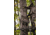 Trophy Treestands Freedom - Shooting Rail, TL113-SR