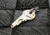 TRUE 8 Multi Keytool, Black, TU247