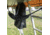 Tuff Stuff Overland Rooftop Tent &amp; Annex Room 3 Person Ranger Overland Sand, Sand Tent/Black Cover, NSN N, TS-RTT-ANX-RAN