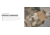UARM WPC Weightless Plate Carrier, Skeletal Cummerbund, Multicam, S, WBPCSM-SCWBPCSM