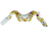 Ultimate Direction Endeavor Hydration Belt-Spectra-X-Small