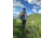 Uncharted Supply Co. The Park Pack, Olive, SU-P2R-U-OL