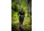 Uncharted Supply Co. The Park Pack, Olive, SU-P2R-U-OL