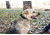 United States Tactical Dog Collar w/ Quick-Release Buckle, Black, Medium UST-K9C00101QM