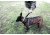 United States Tactical Dog Receiver Collar, Coyote, Medium UST-K9C00202M