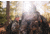 Vanguard 26L Hunting Backpack, RealTree Xtra Camo, Pioneer 1600RT