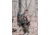 Vanguard 26L Hunting Backpack, RealTree Xtra Camo, Pioneer 1600RT