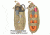 Vanquest Gear FATPack Gen-2 First Aid Trauma Pack,7x10, Coyote Tan, Medium 081271CT