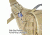 Vanquest Gear TOLCAT 2.0 VPacker Gear Bag, Coyote Tan, Large 581299CT