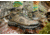 Vasque Breeze Boot - Men's, Regular, Pavement, 8.5, 07752-M-085
