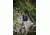 Vertx Mens Phantom Ops Tactical Pants w/ Airflow,65% Poly/35% Cotton,OD Green/MultiCam,30-30 VTX8620ODC-30-30