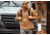Vertx Crucible Mid Layer Hoody - Mens, Tobacco, Extra Large, F1 VTX8851 TB XLARGE N/A