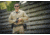 Vertx Fusion Flex Long Sleeve Shirt, Desert Tan - VTX8240DT2XLLONG