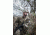 Vertx L/S Gunfighter Kryptek Highland Nyco Ripstop W/CR 50%Nylon/50% Cotton, Highlander, LARGE