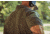 Vertx Recon X Combat Shirt - Short Sleeve - Mens, Ranger Green, Extra Large, F1 VTX1913 RGN XLARGE N/A