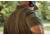 Vertx Recon X Combat Shirt - Short Sleeve - Mens, Ranger Green, Extra Large, F1 VTX1913 RGN XLARGE N/A
