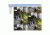 Video Insight Ip Camera Software With 6 Cameras On One Server