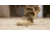 Viktos Armory AR670 Boot - Mens, Coyote Dark, 10, 1007706