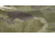 Viktos Ocourse Tactical Shorts - Mens, Murkwood Camo, 34, 1605503