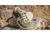 Viktos PTXF Core Multicam Shoe - Mens, Green Camo, 8, 1005202