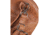 Vism Small Dome Crossbody Bag, Brown, BWR002