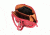 Vism Small Dome Crossbody Bag, Red, BWR003