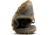 Vivobarefoot Tracker Leather AT Hiking Boot - Womens, US 6/37 Euro, Bracken, 209533-0237