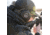 Walkers Firemax Behind the Neck Ear Muffs, 20 dB NRR, Black, GWP-DFM-BTN