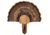 Walnut Hollow Turkey Mount Kit 1302338