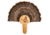 Walnut Hollow Turkey Mount Kit 1302342