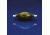Walter Stern Gas Collecting Rubber Bulbs 202A Bulb Rubber