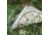 Wazoo Survival Gear Forgaing Ground Cloth